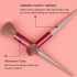 Professional makeup brush 