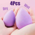 Makeup Sponge